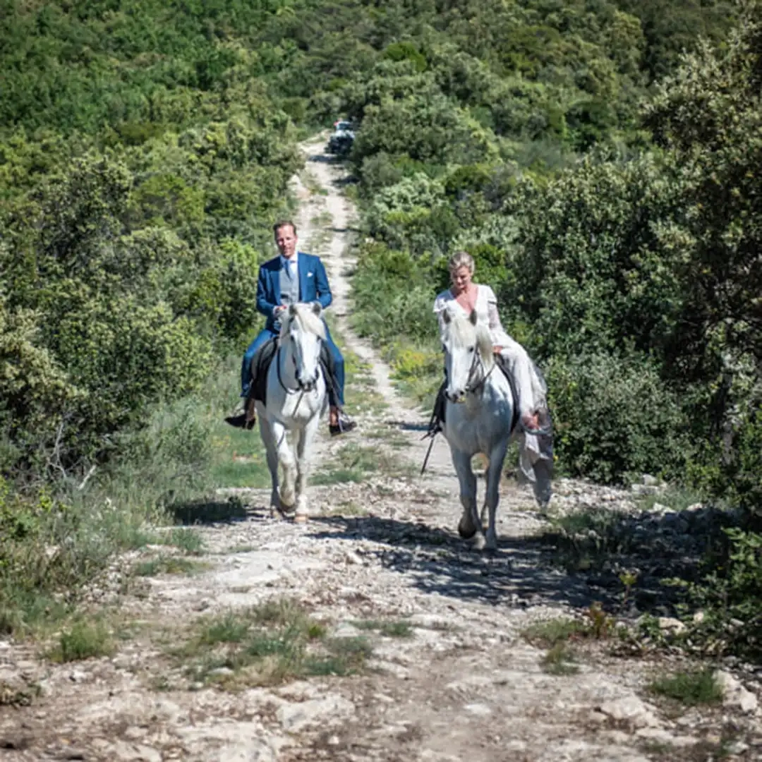 Mariés de dos marchant main dans la main dans une forêt lors d’un mariage champêtre